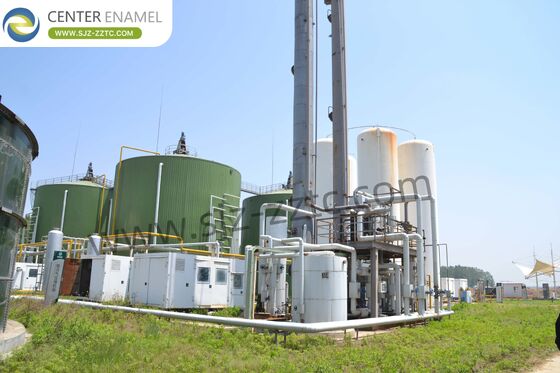 Turning Cattle Farm Manure into Biogas in New Zealand with CBG Plant EPC Solutions