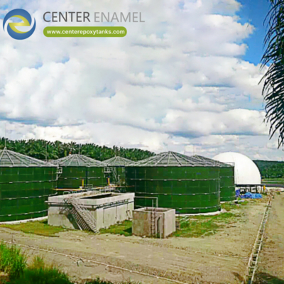 ถังไบโอแก๊สสําหรับโรงงาน Bio CNG: ถังหลักสําหรับการย่อยไบโอแก๊ส