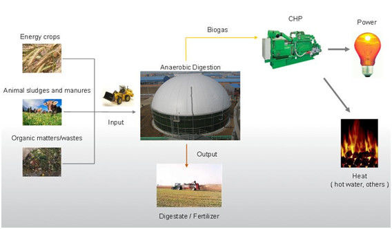 ถังเก็บไบโอแก๊ส Superior EPC ซัพพลายเออร์มือสองสําหรับพลังงานไบโอแก๊สขยะ ระบบบรรจุเต็ม 1